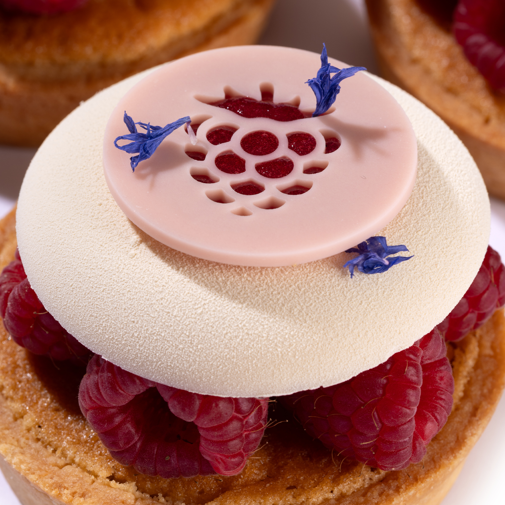 SPITZEN AUFLEGER "HIMBEERE", WEISSE SCHOKOLADE GEFÄRBT