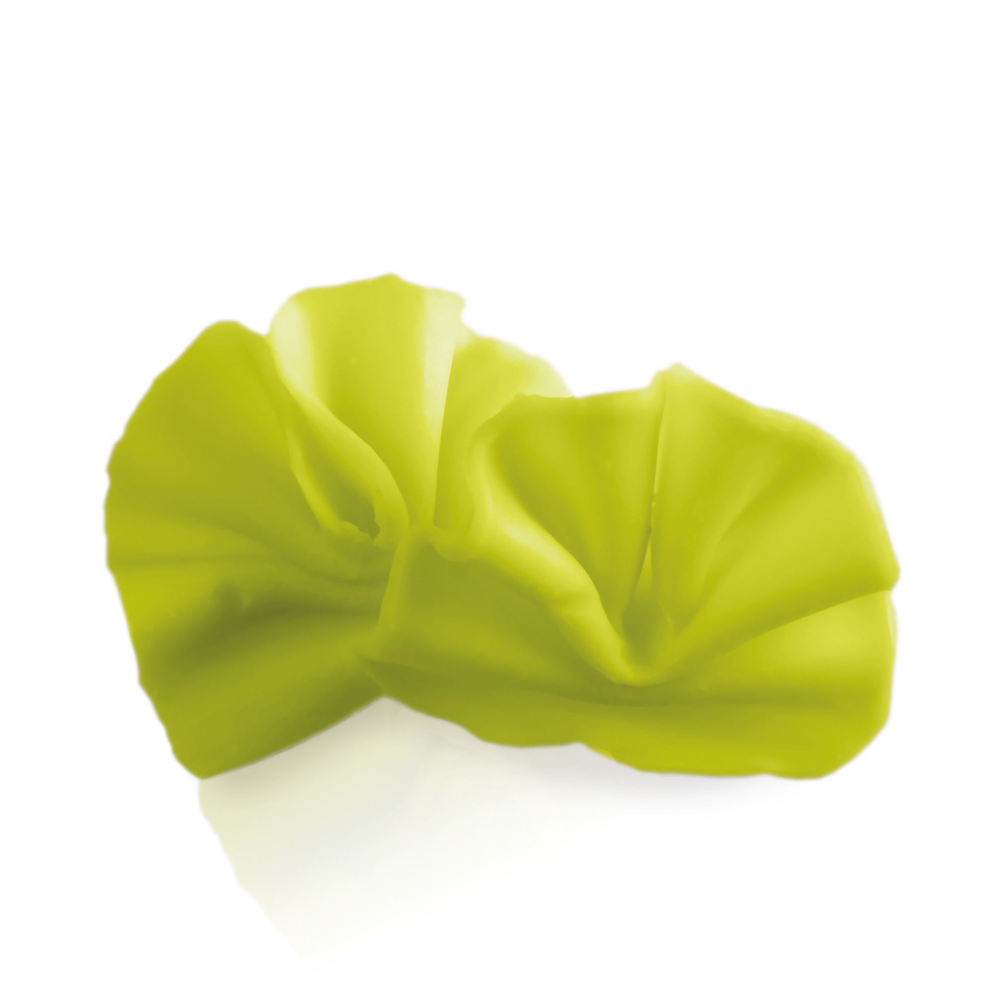 KLEINE FÄCHER GRÜN, WEISSE SCHOKOLADE GEFÄRBT