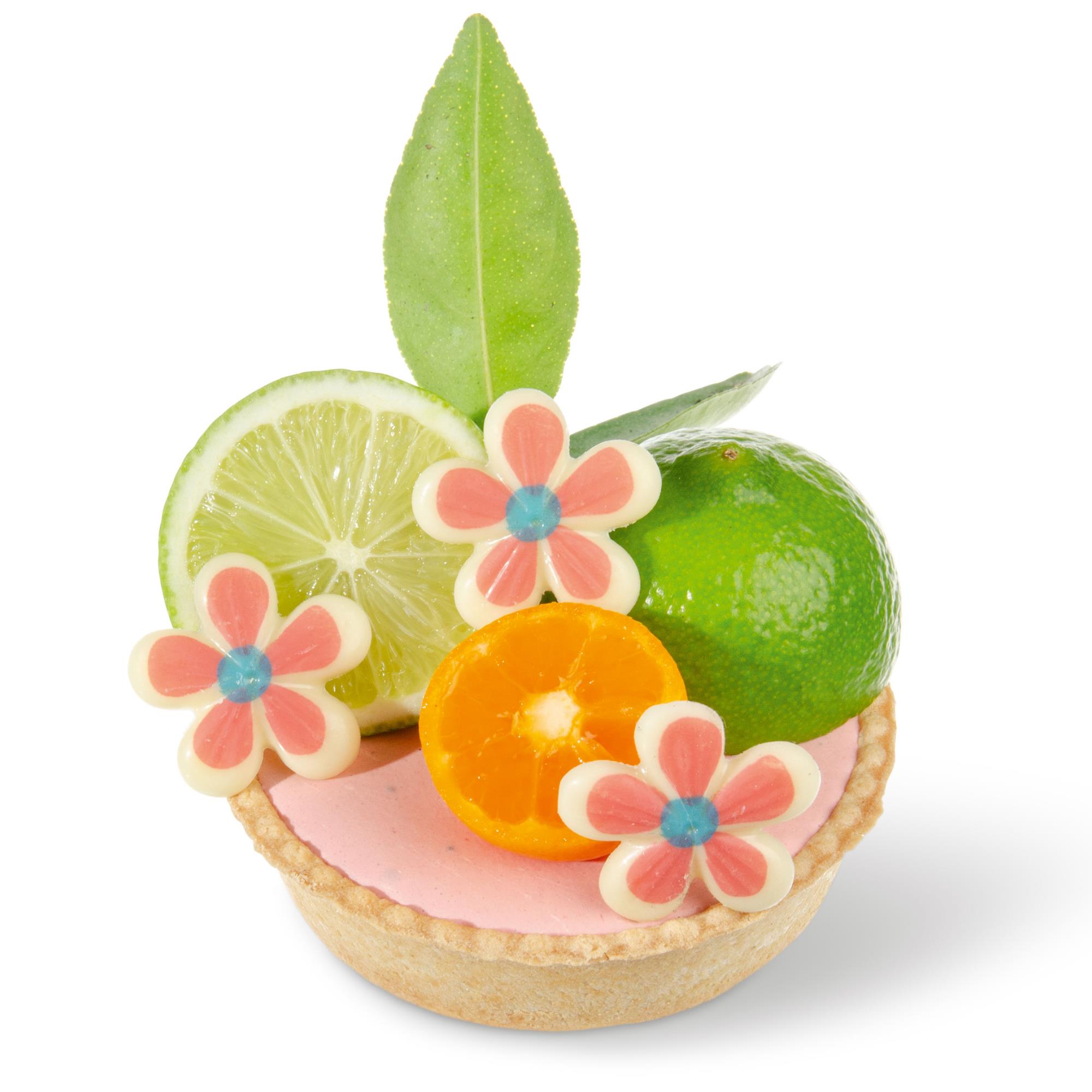 ANEMONEN ROSA, WEISSE SCHOKOLADE BEDRUCKT ANEMONEN ROSA, WEISSE SCHOKOLADE BEDRUCKT