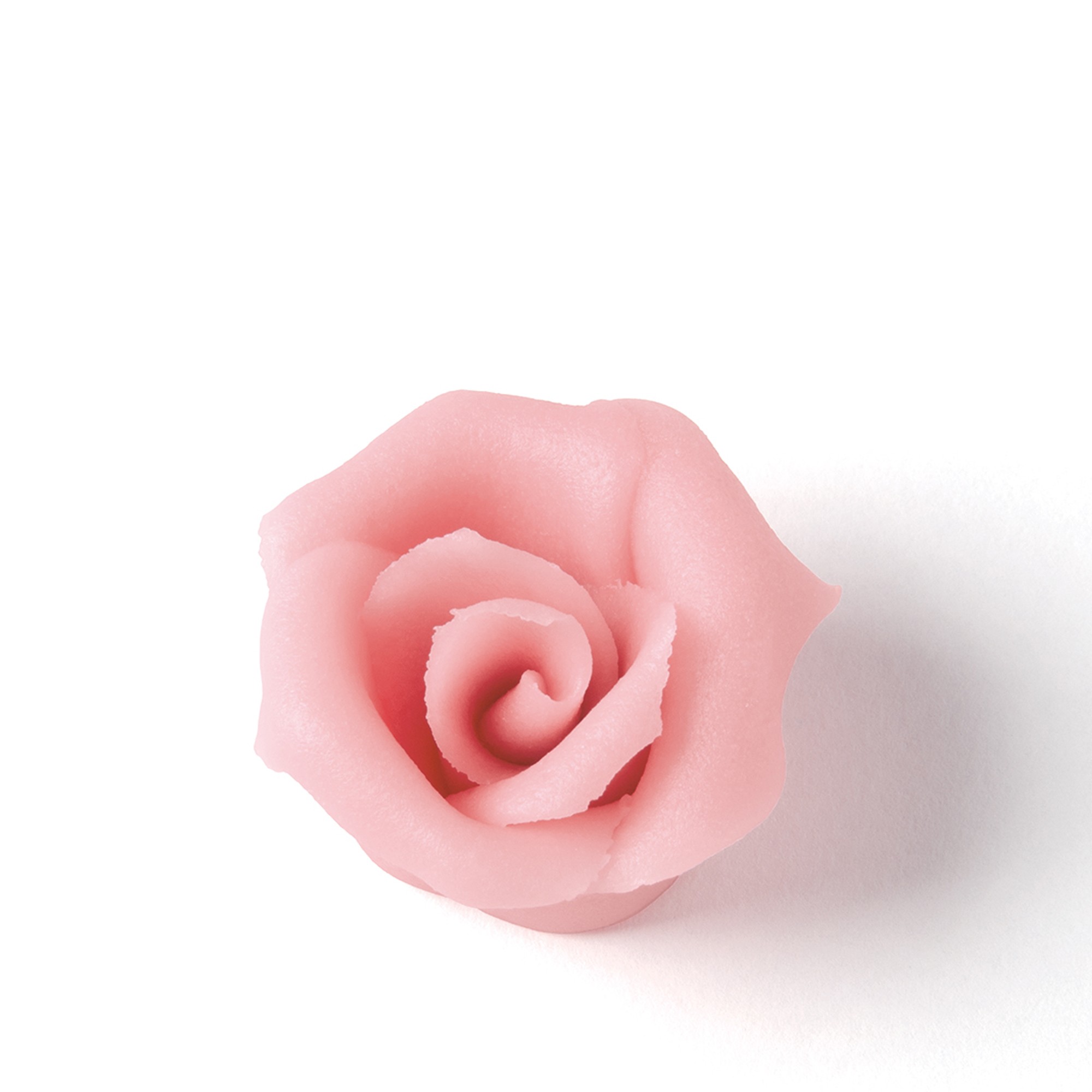 ROSA ROSEN KLEIN, MARZIPAN ROSA ROSEN KLEIN, MARZIPAN