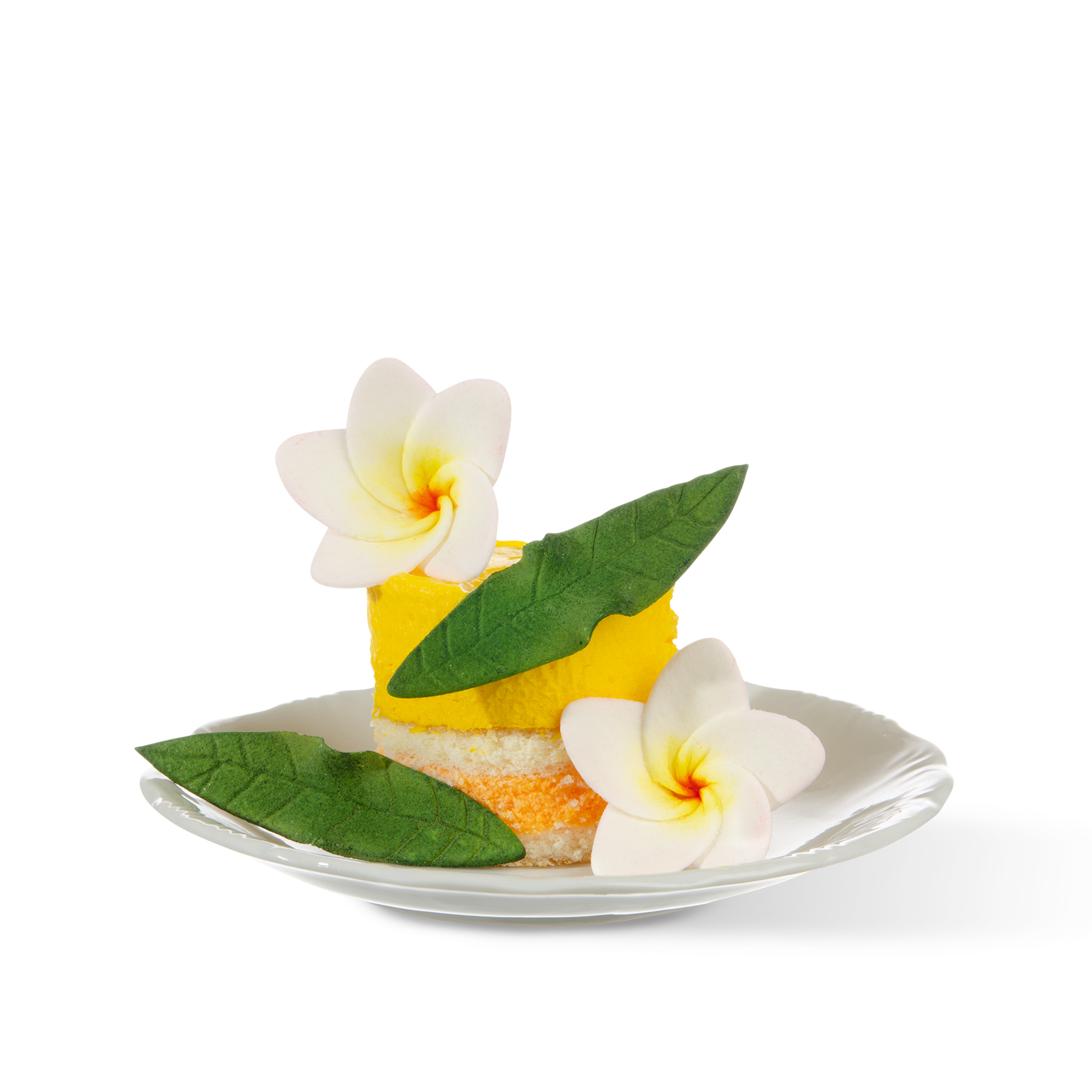 FRANGIPANI-BLÜTEN, TRAGANT FRANGIPANI-BLÜTEN, TRAGANT