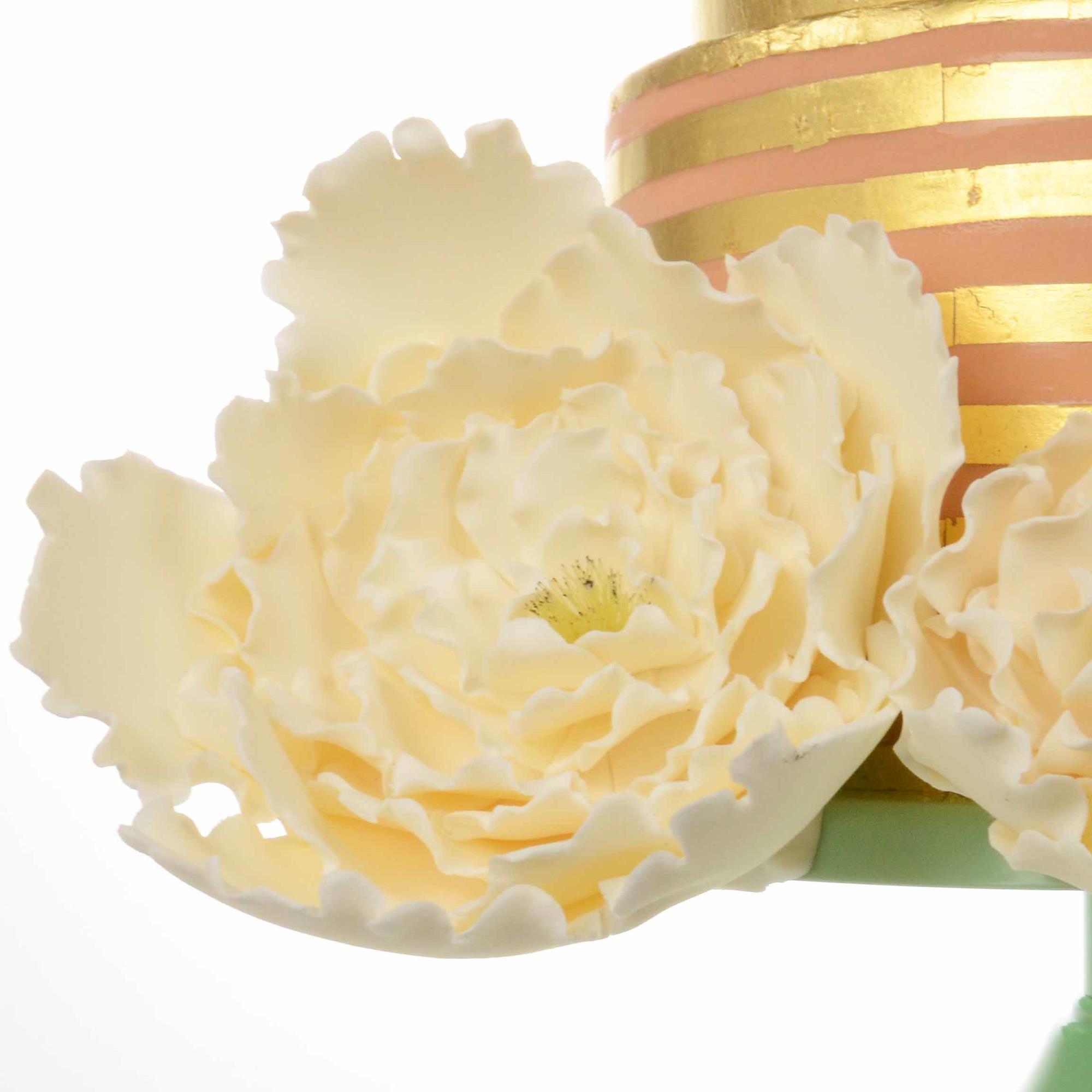 WEISSE PÄONIENBLÜTE GROSS, TRAGANT WEISSE PÄONIENBLÜTE GROSS, TRAGANT