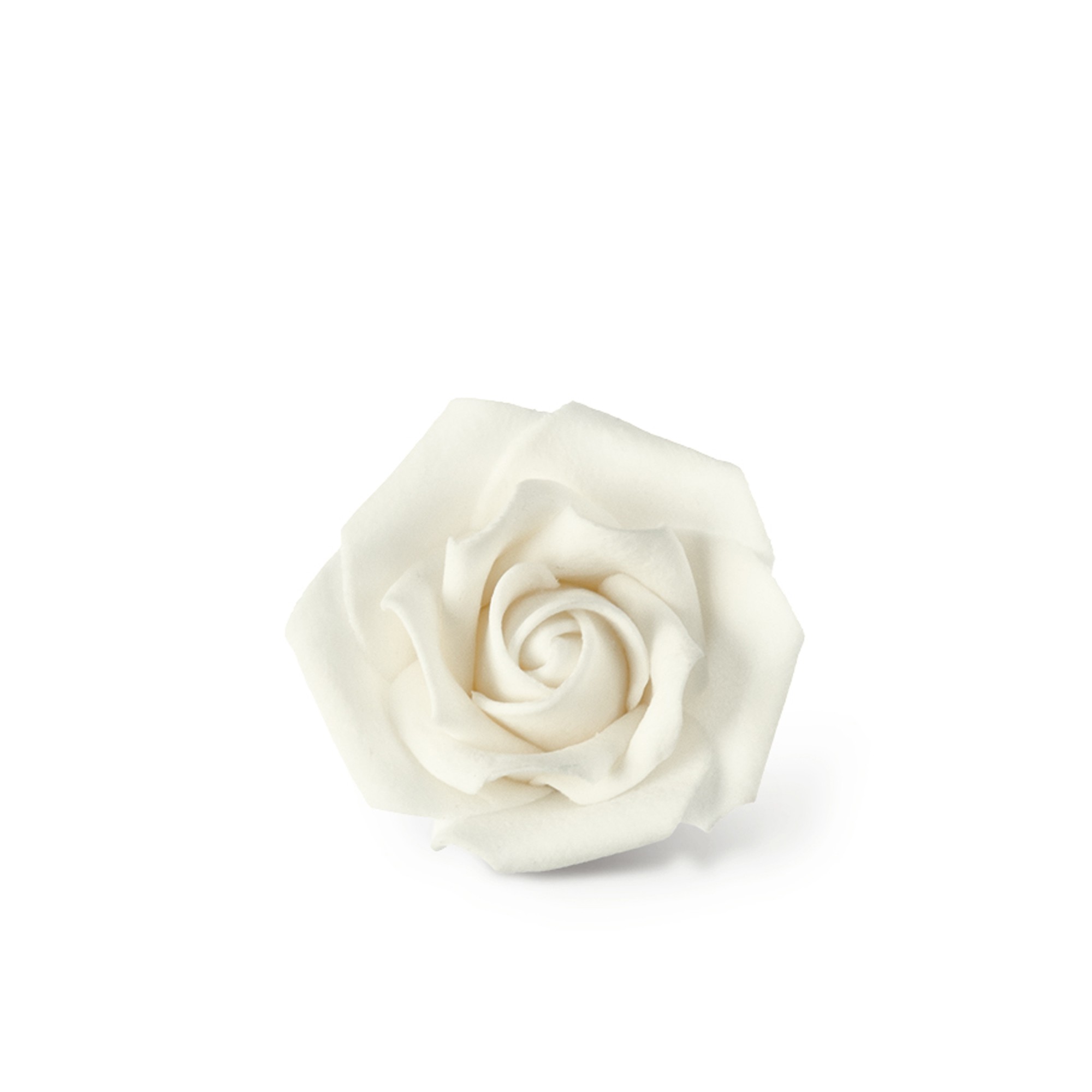 WEISSE ROSEN GROSS, TRAGANT