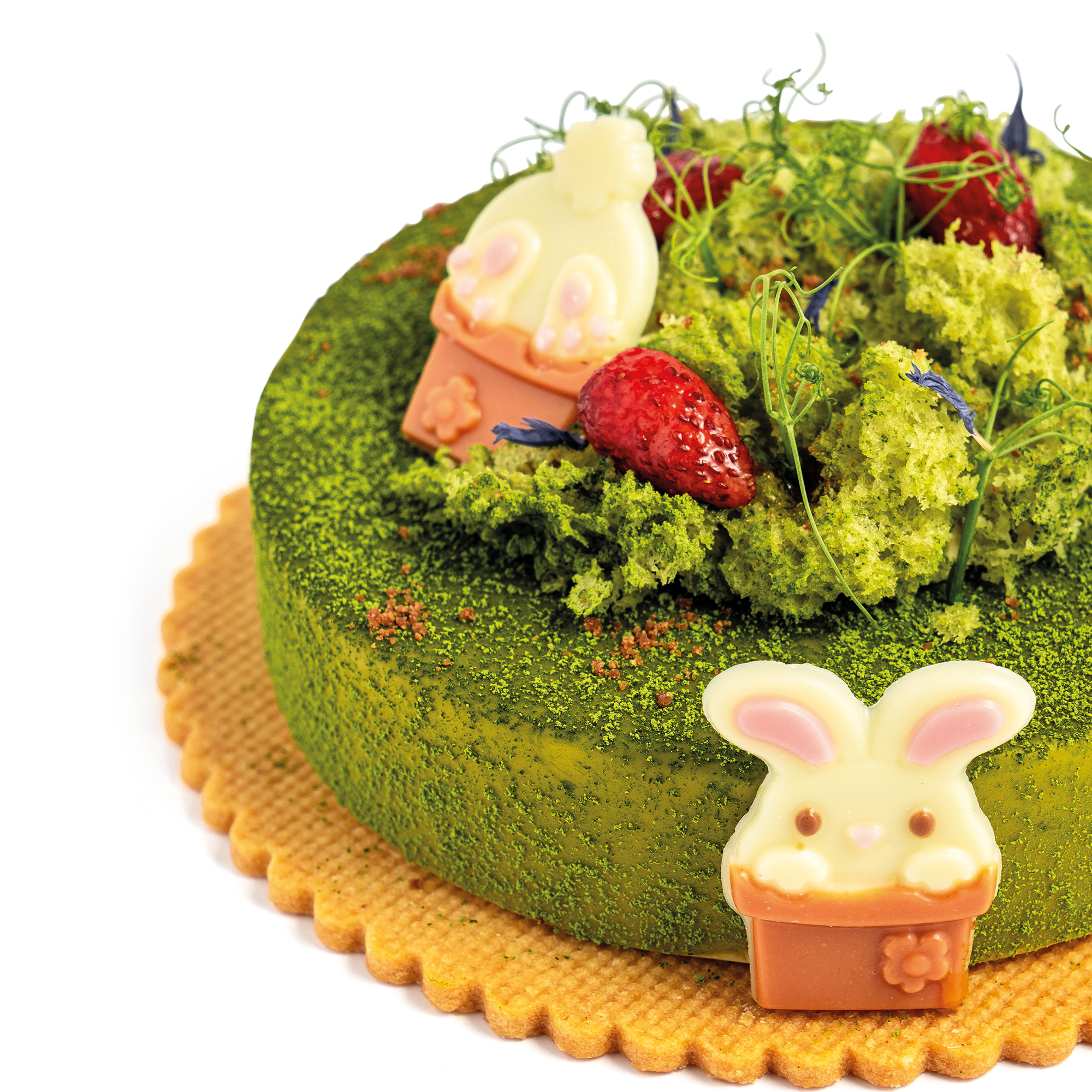 AUFLEGER HÄSCHEN IM TOPF SORTIERT, WEISSE SCHOKOLADE GEFÄRBT.