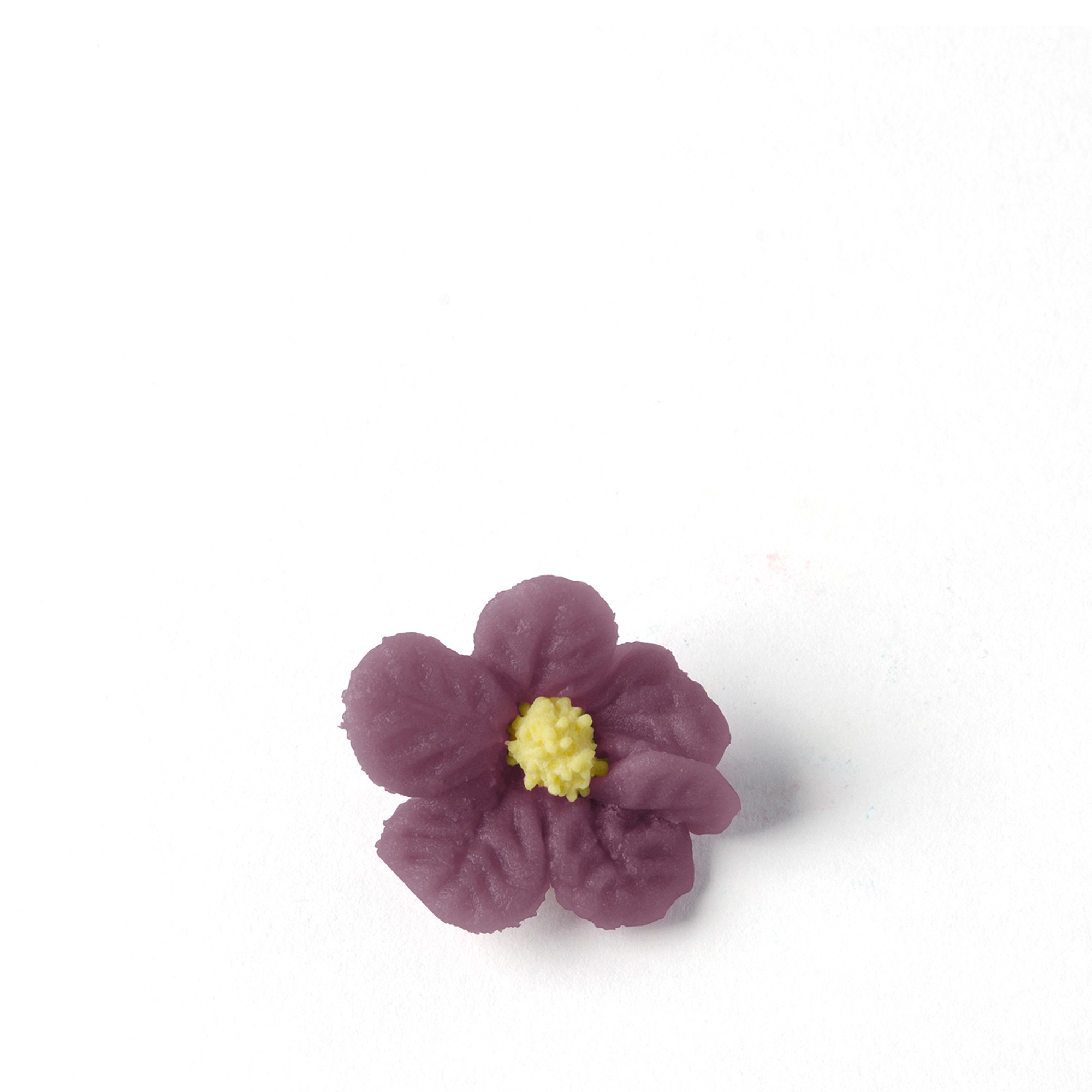 LILA VEILCHEN, MARZIPAN