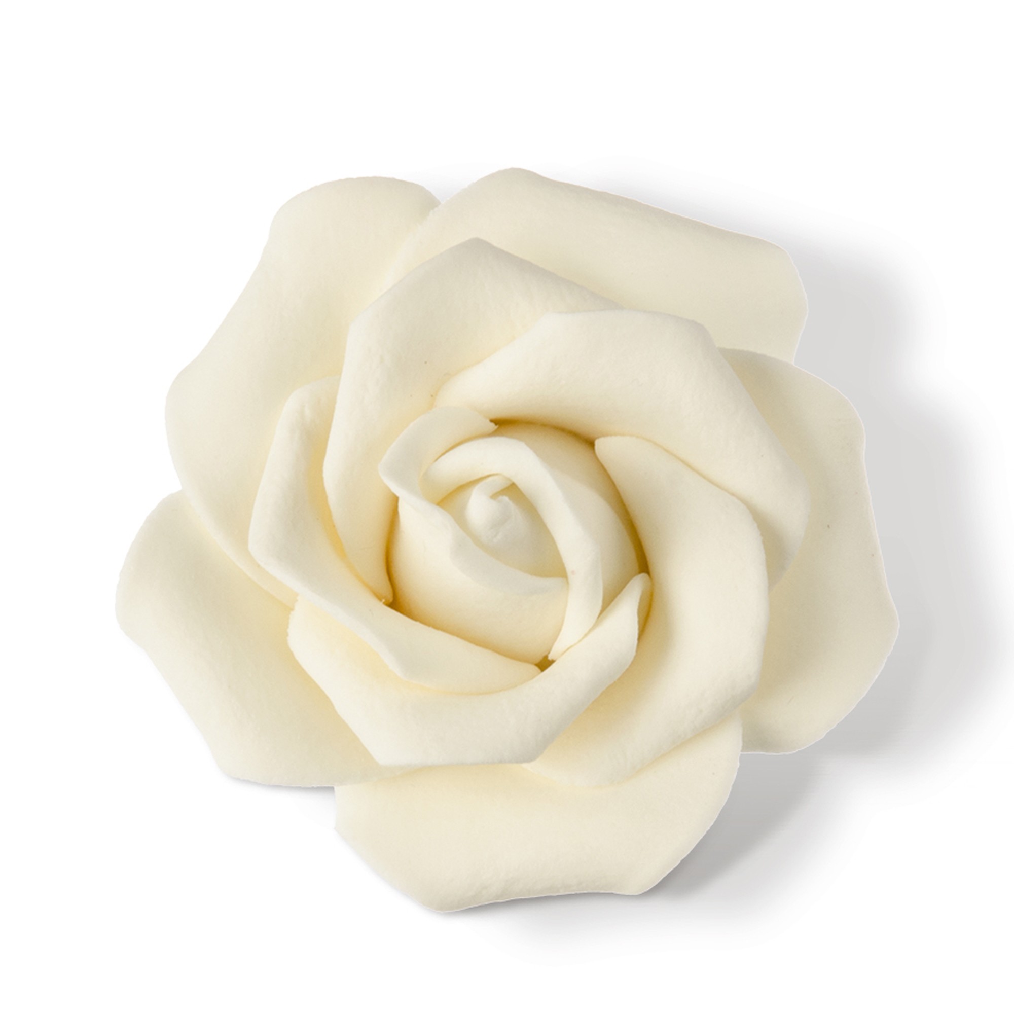 CREMEFARBIGE ROSEN MAXI, TRAGANT CREMEFARBIGE ROSEN MAXI, TRAGANT