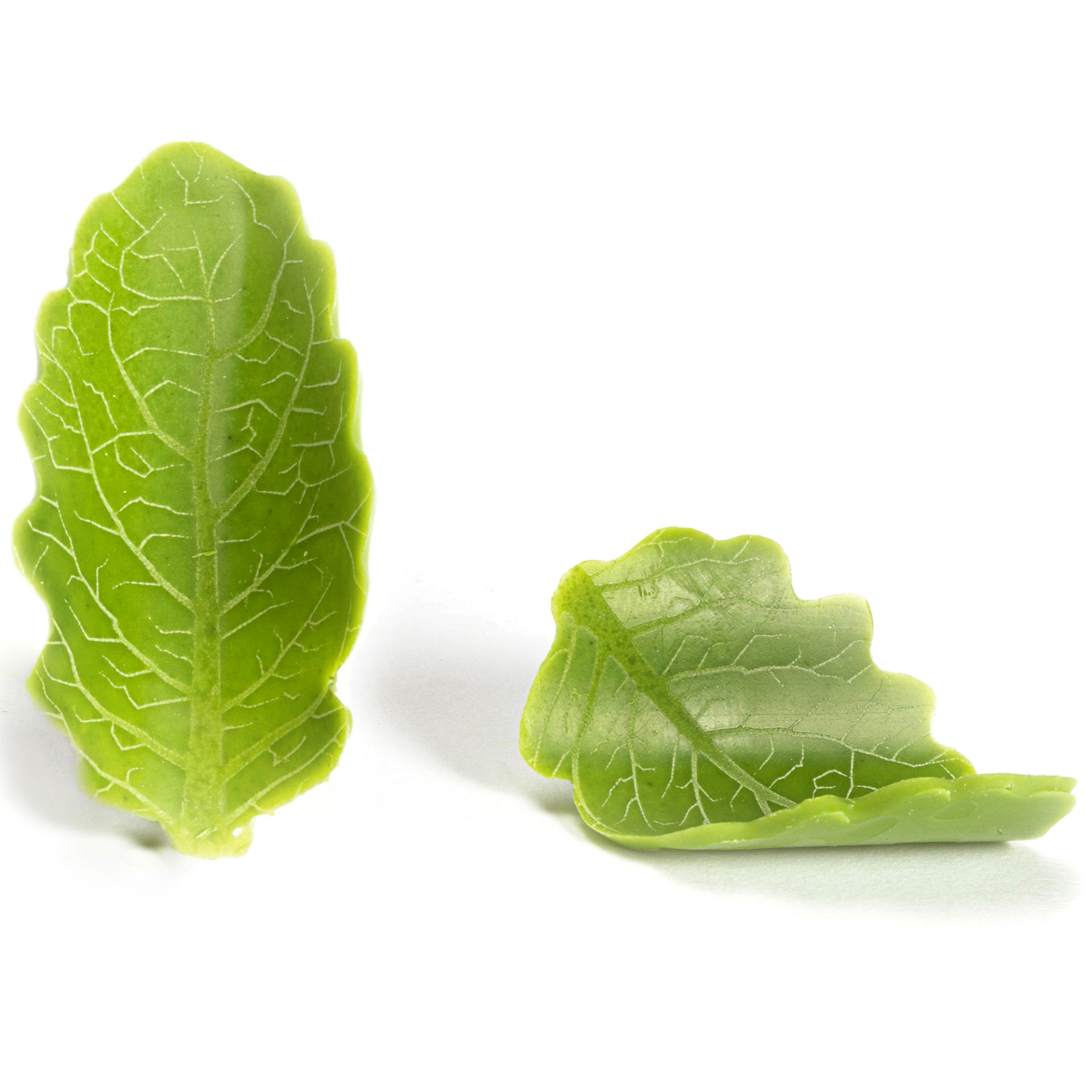 GROSSE BLÄTTER GRÜN-WEISS, WEISSE SCHOKOLADE BEDRUCKT GROSSE BLÄTTER GRÜN-WEISS, WEISSE SCHOKOLADE BEDRUCKT