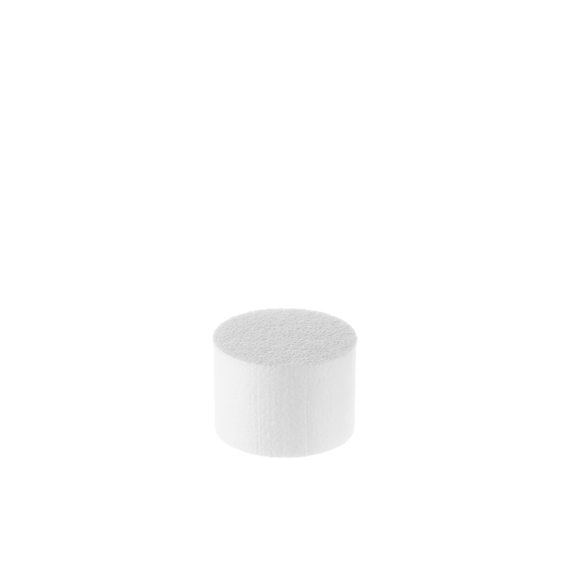 TORTENKERN RUND HÖHE 10 CM, DURCHMESSER 14 CM TORTENKERN RUND HÖHE 10 CM, DURCHMESSER 14 CM