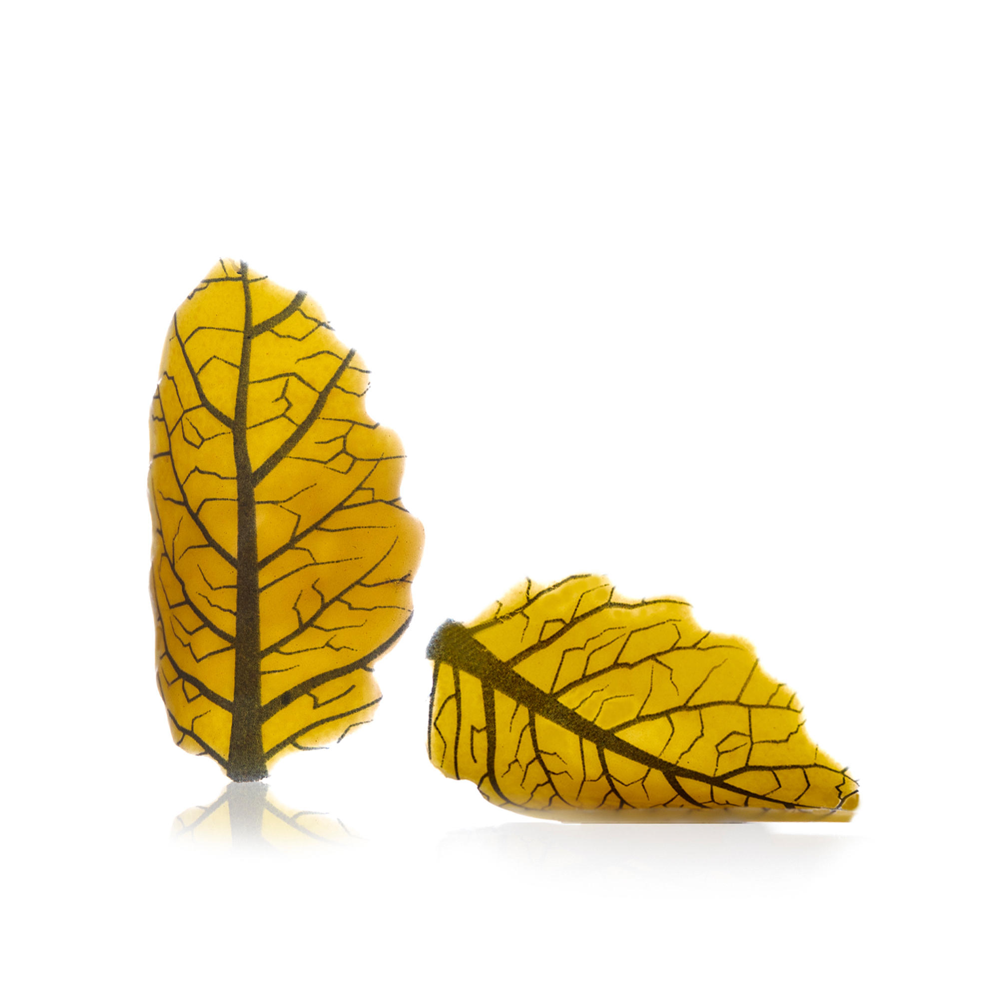 HERBST BLÄTTER, WEISSE SCHOKOLADE BEDRUCKT