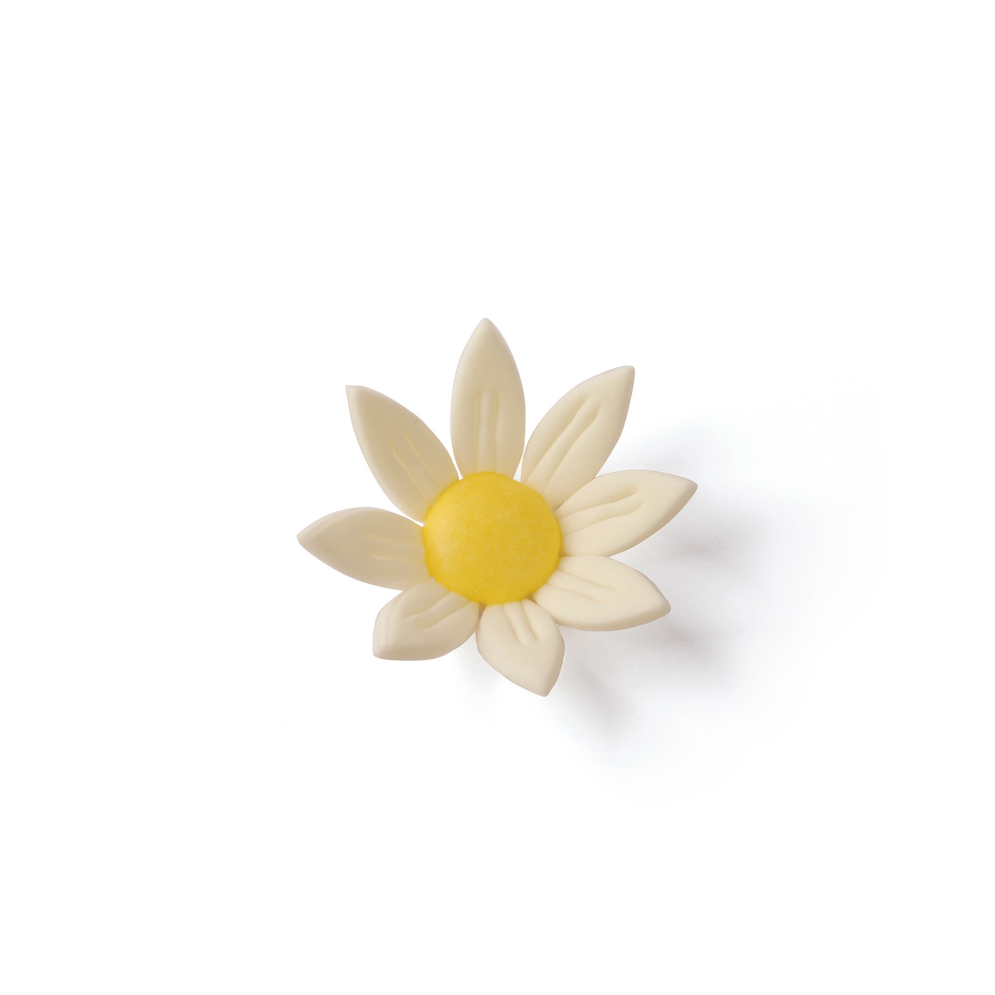 CREMEFARBIGE MARGERITEN GROSS, TRAGANT CREMEFARBIGE MARGERITEN GROSS, TRAGANT