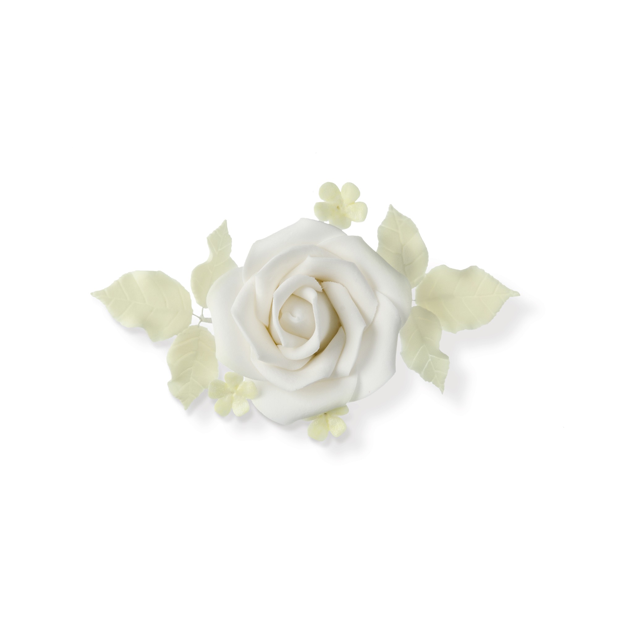 WEISS-CREME MAXIROSEN-BOUQUET KLEIN, TRAGANT WEISS-CREME MAXIROSEN-BOUQUET KLEIN, TRAGANT