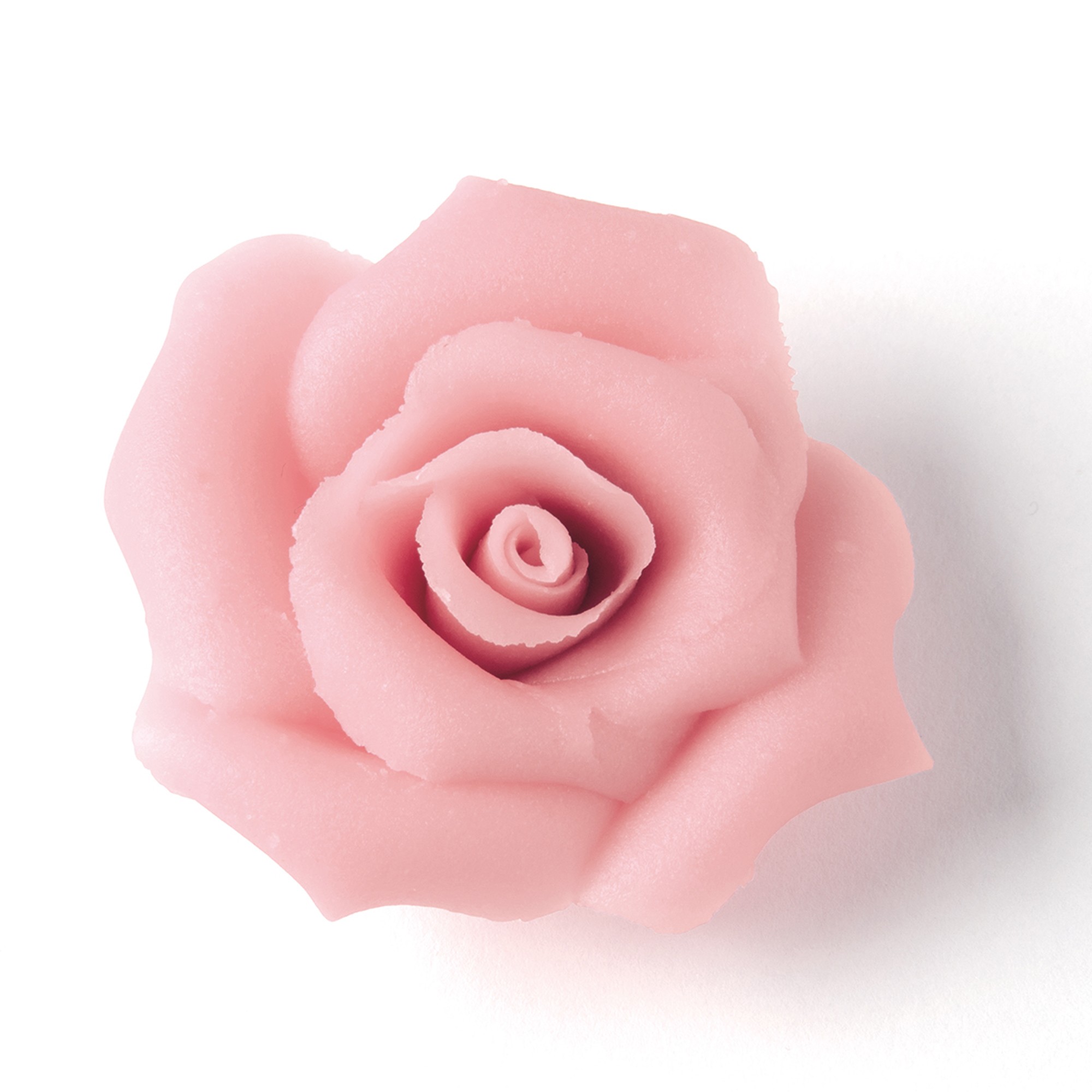 ROSA ROSEN GROSS, MARZIPAN