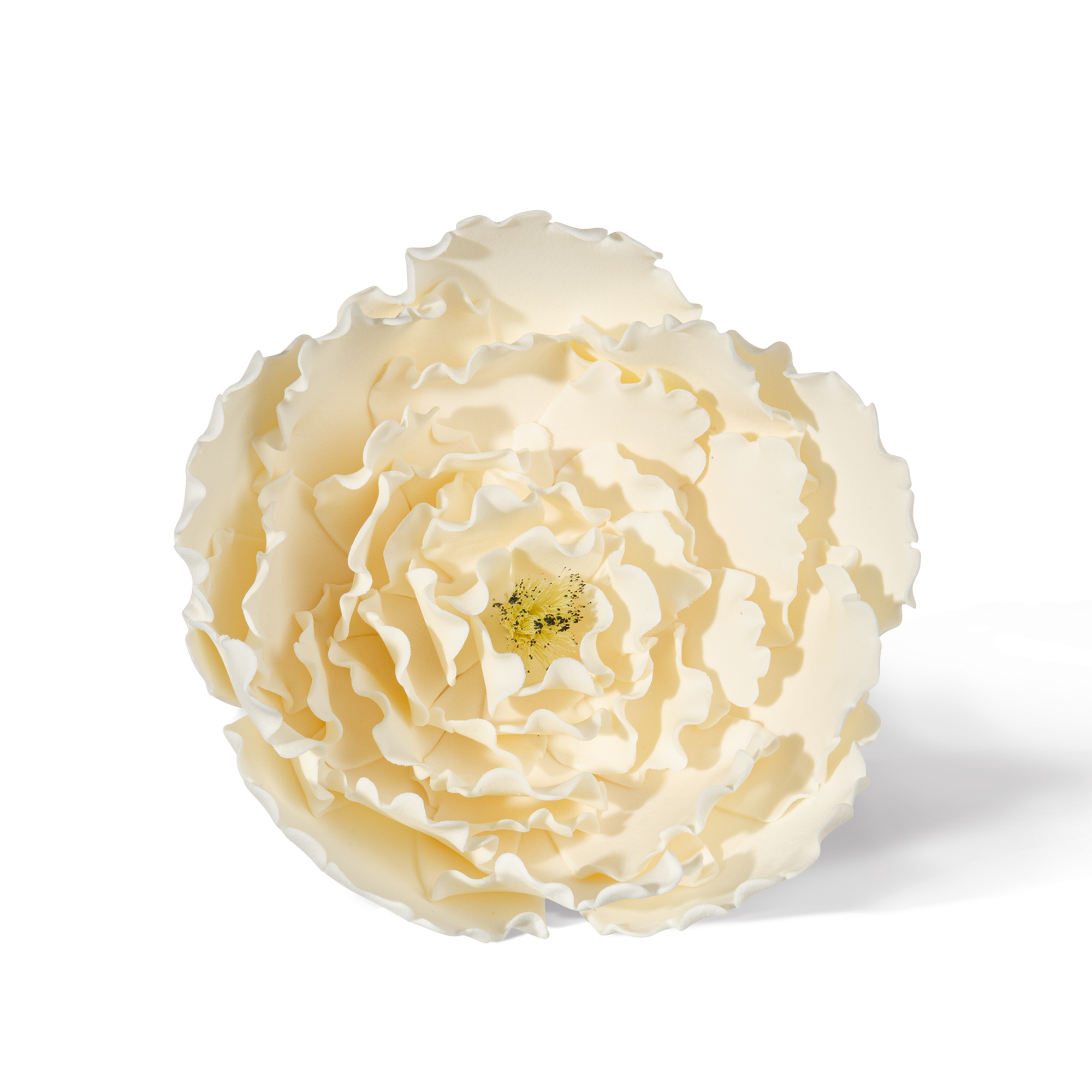 WEISSE PÄONIENBLÜTE GROSS, TRAGANT WEISSE PÄONIENBLÜTE GROSS, TRAGANT