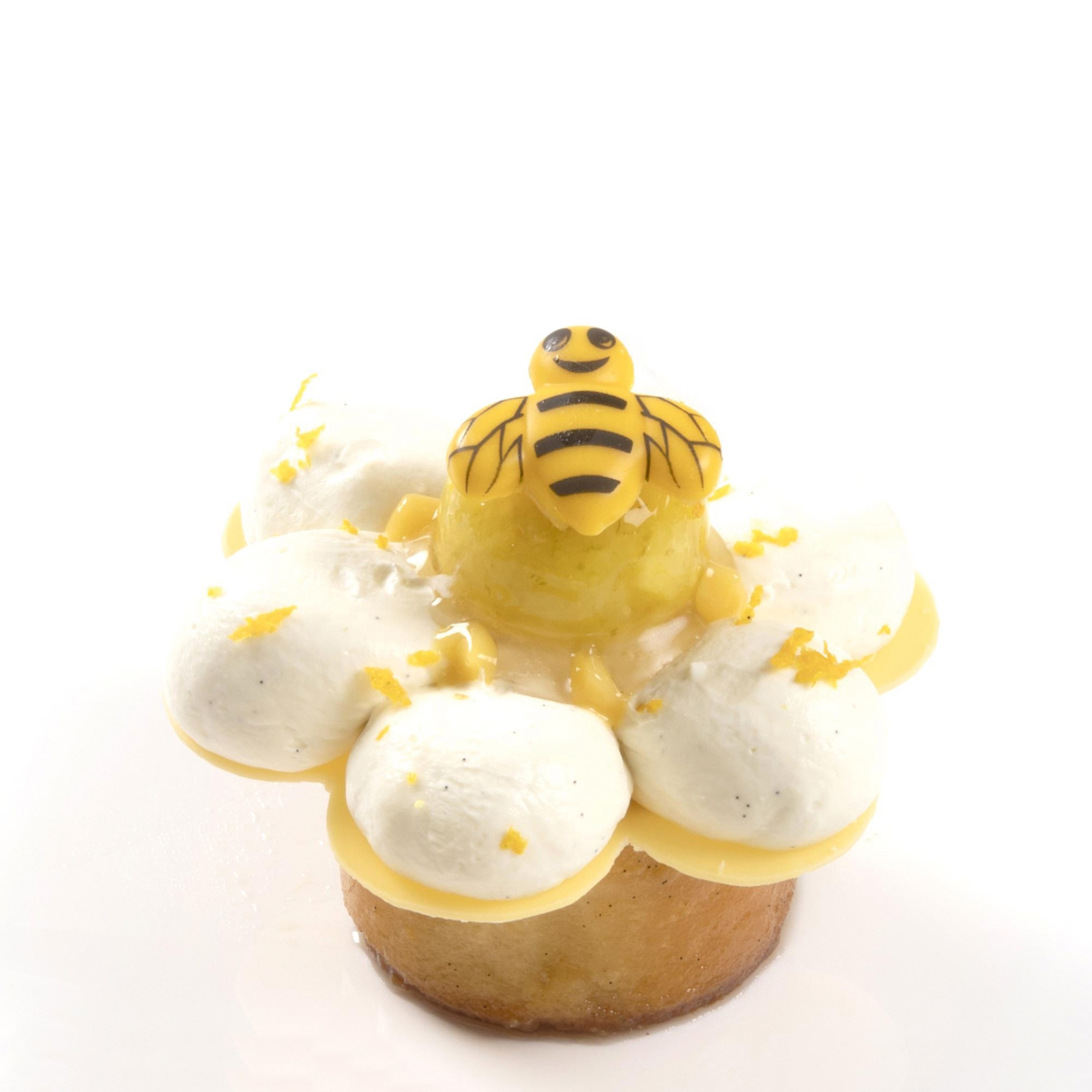 SCHOKO BIENEN, WEISSE SCHOKOLADE GEFÄRBT