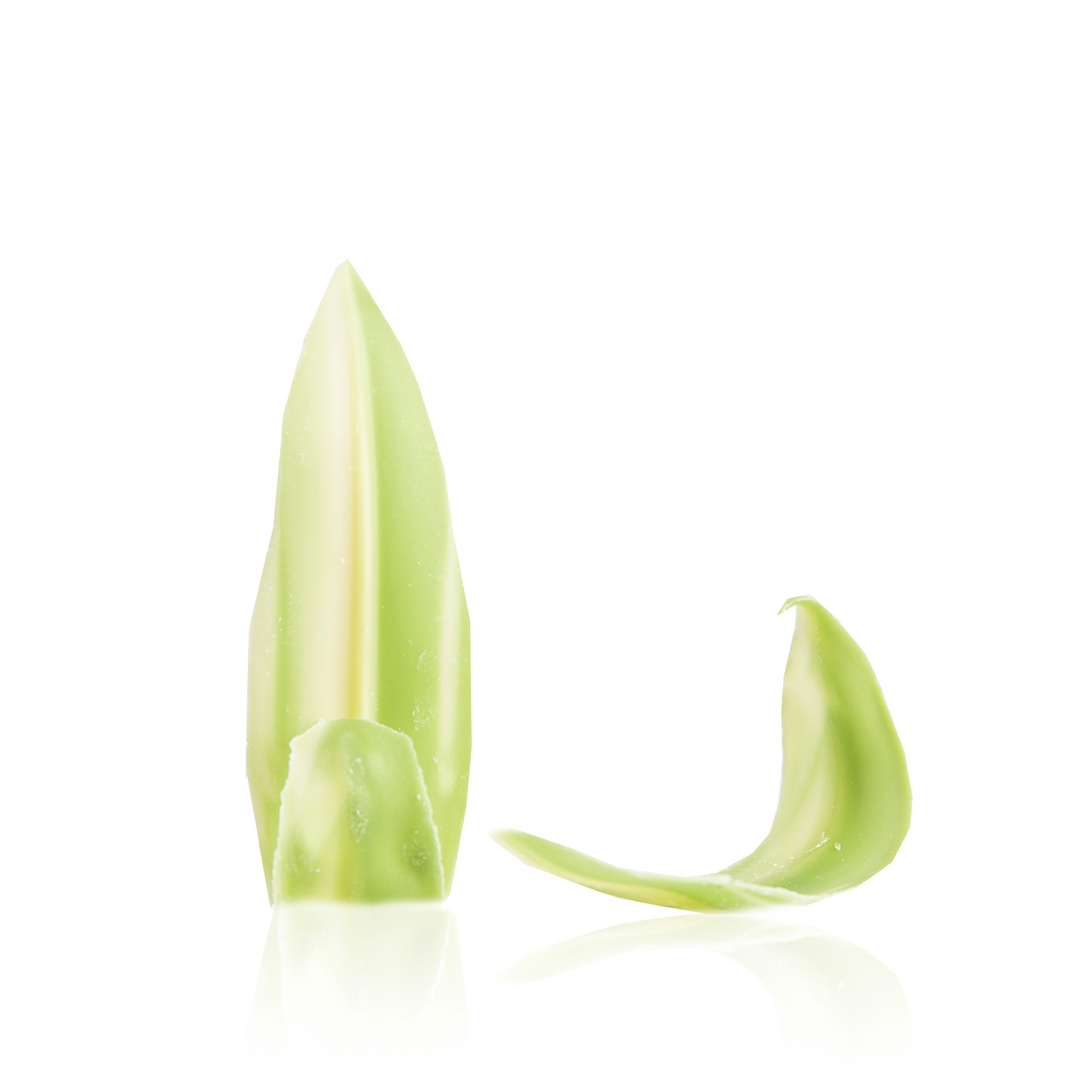 BLÄTTER GRÜN-WEISS, SCHOKOLADE GEFÄRBT BLÄTTER GRÜN-WEISS, SCHOKOLADE GEFÄRBT