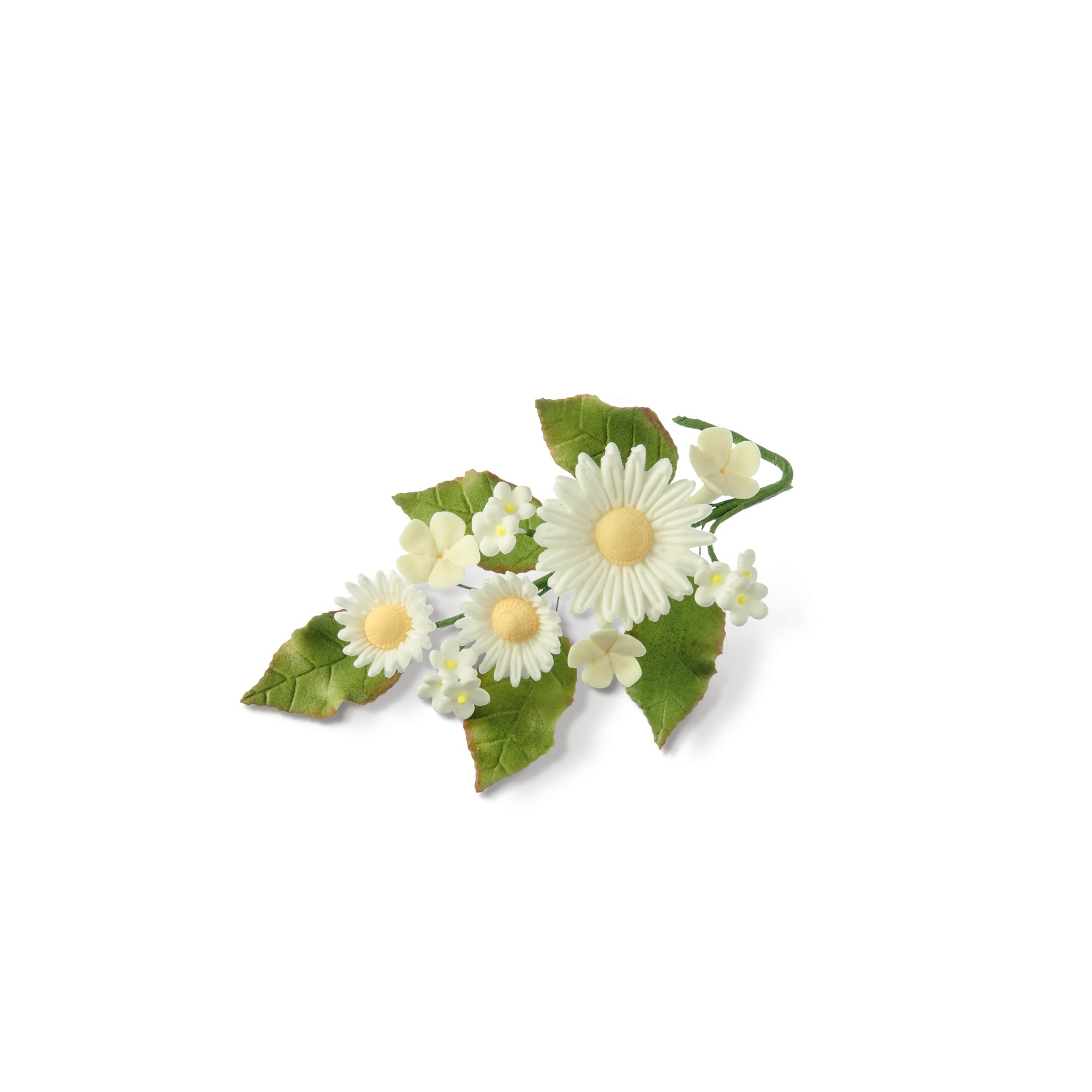 MARGERITEN-BOUQUET KLEIN, TRAGANT MARGERITEN-BOUQUET KLEIN, TRAGANT